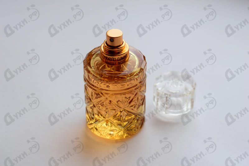 Купить Florence Amber от Roberto Cavalli