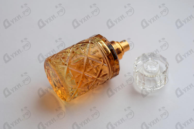 Парфюмерия Florence Amber от Roberto Cavalli