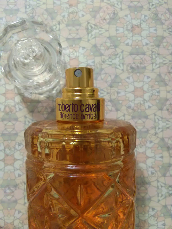 Купить Florence Amber от Roberto Cavalli