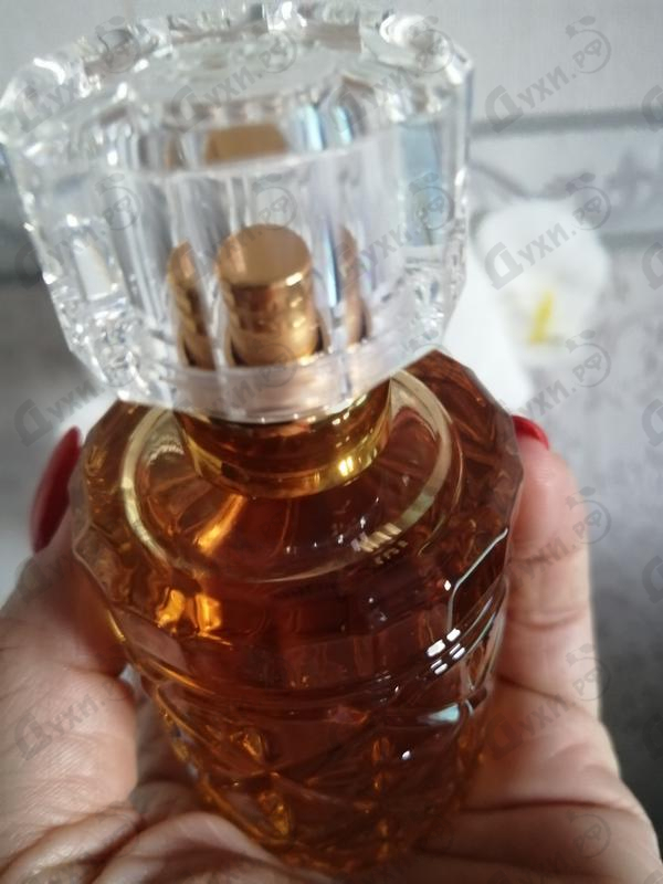Отзыв Roberto Cavalli Florence Amber