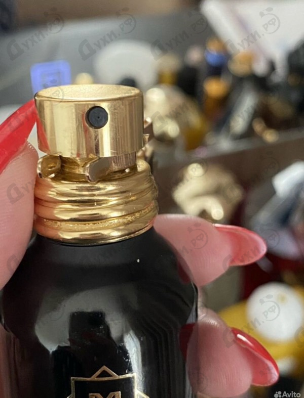 Купить Montale Arabians Tonka