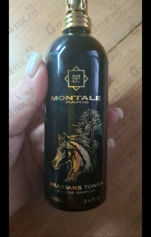 Купить Montale Arabians Tonka