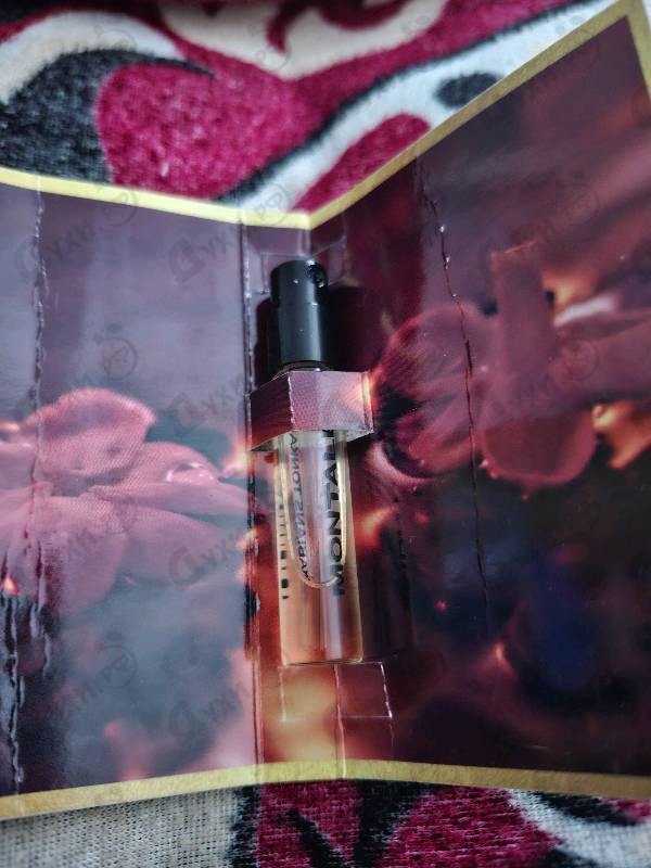 Купить Arabians Tonka от Montale