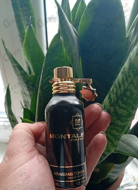 Купить Arabians Tonka от Montale