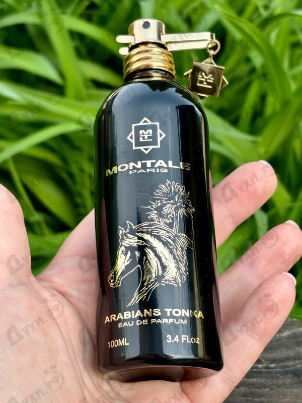 Отзывы Montale Arabians Tonka