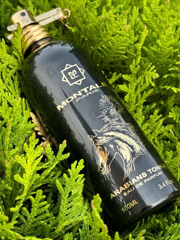 Купить Arabians Tonka от Montale