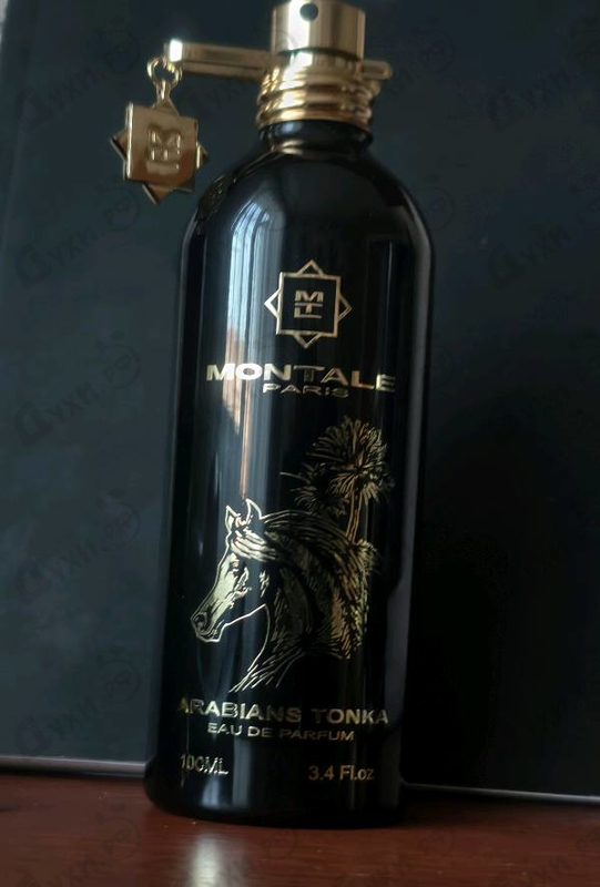 Парфюмерия Arabians Tonka от Montale