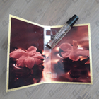 Духи Arabians Tonka от Montale