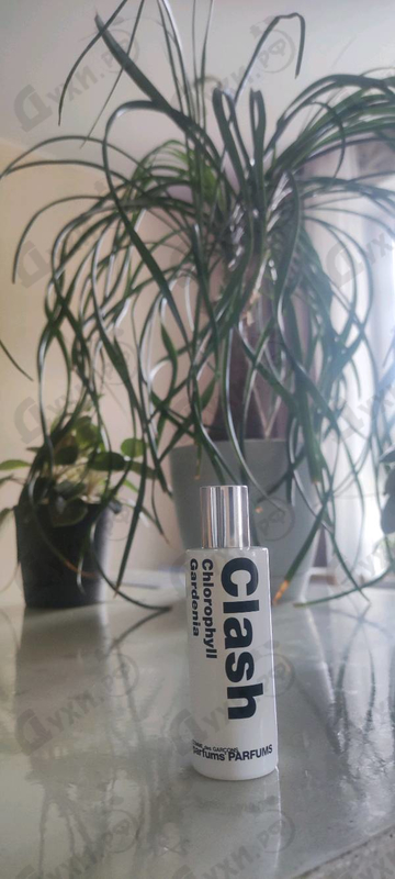 Духи Chlorophyll Gardenia от Comme Des Garcons