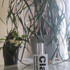 Духи Chlorophyll Gardenia от Comme Des Garcons