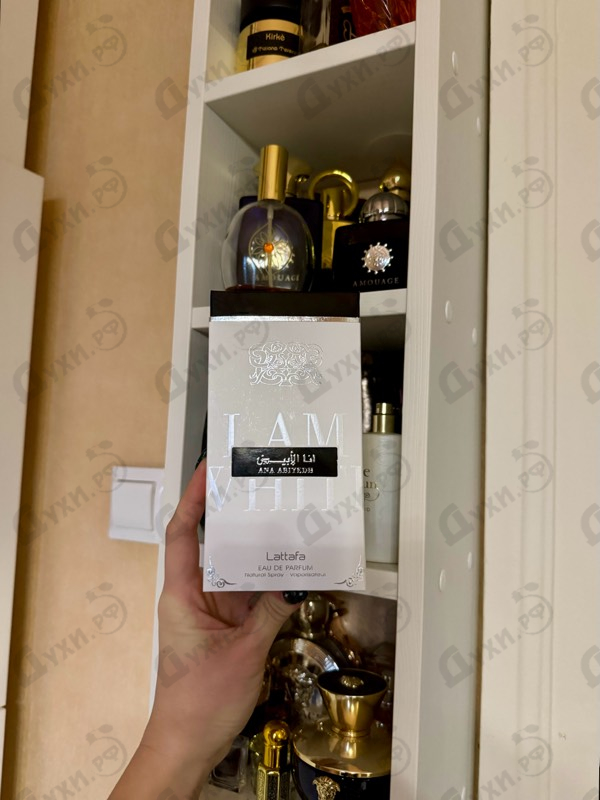 Духи Ana Abiyedh от Lattafa Perfumes Отзывы Lattafa Perfumes Ana Abiyedh