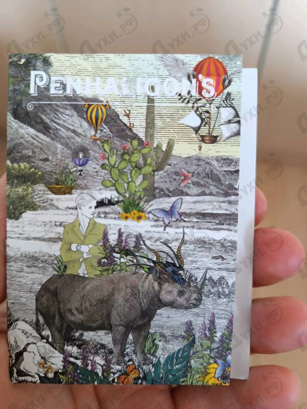Купить Terrible Teddy от Penhaligon's
