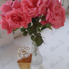 Отзывы Prudence Paris No 13