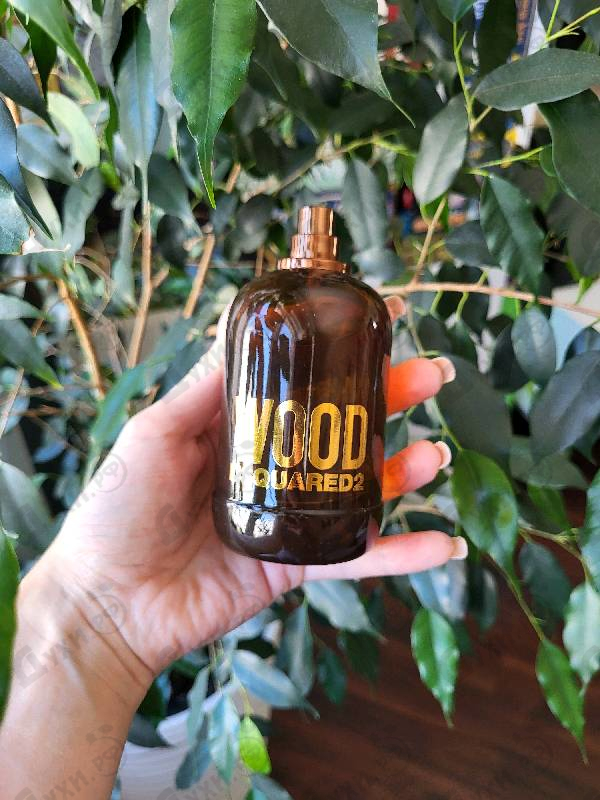 Отзывы Dsquared2 Wood