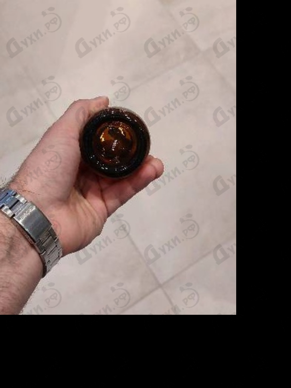 Купить Wood от Dsquared2