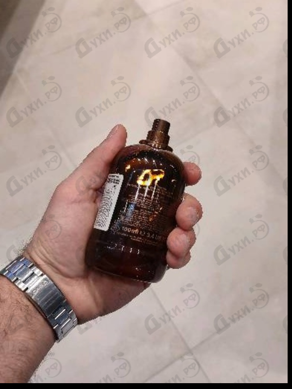 Купить Wood от Dsquared2