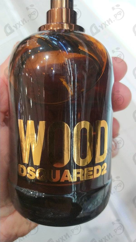 Купить Wood от Dsquared2