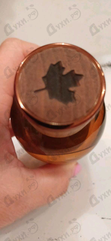 Духи Wood от Dsquared2