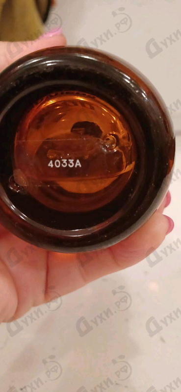 Купить Wood от Dsquared2