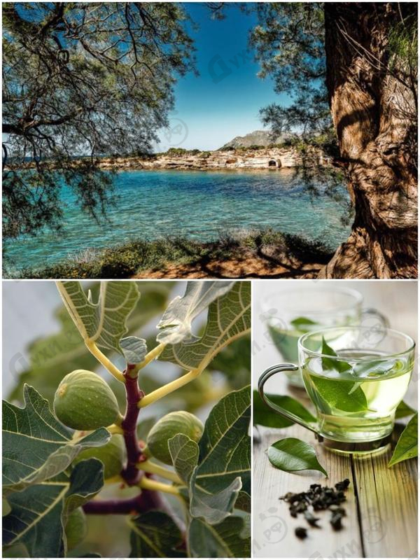 Отзыв Monotheme Mediterranean Coast Парфюмерия Mediterranean Coast от Monotheme