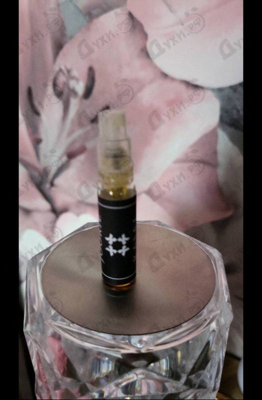 Отзыв Kajal Joorie