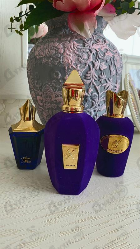 Парфюмерия Xerjoff Accento Духи Accento от Xerjoff