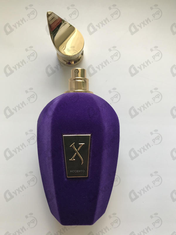 Отзыв Xerjoff Accento Купить Accento от Xerjoff
