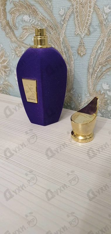 Парфюмерия Xerjoff Accento Духи Accento от Xerjoff