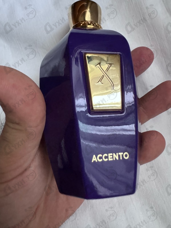 Отзывы Xerjoff Accento