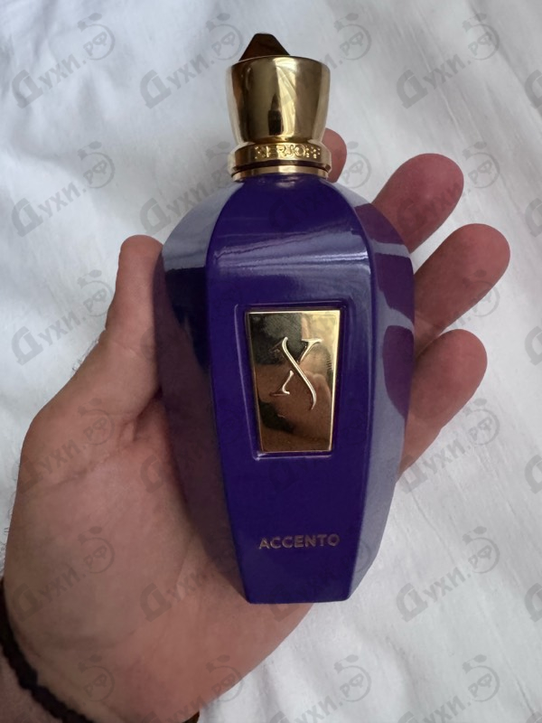 Отзывы Xerjoff Accento