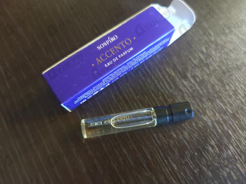 Духи Accento от Xerjoff Отзыв Xerjoff Accento