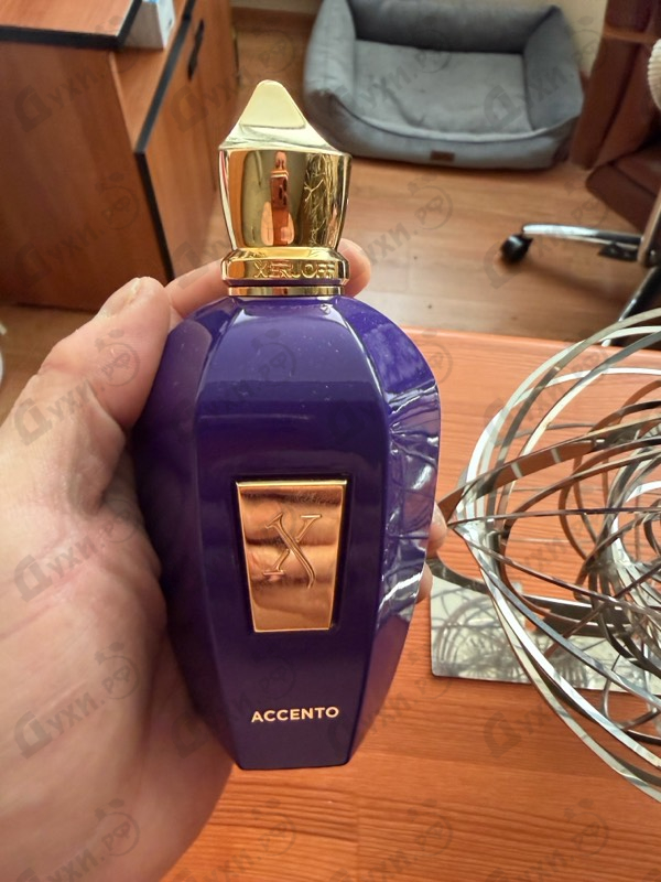 Парфюмерия Accento от Xerjoff