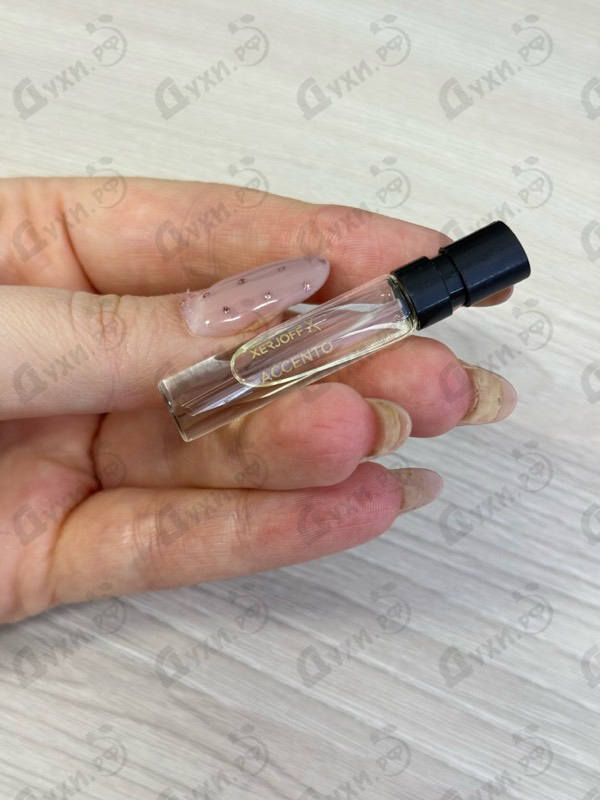 Купить Accento от Xerjoff