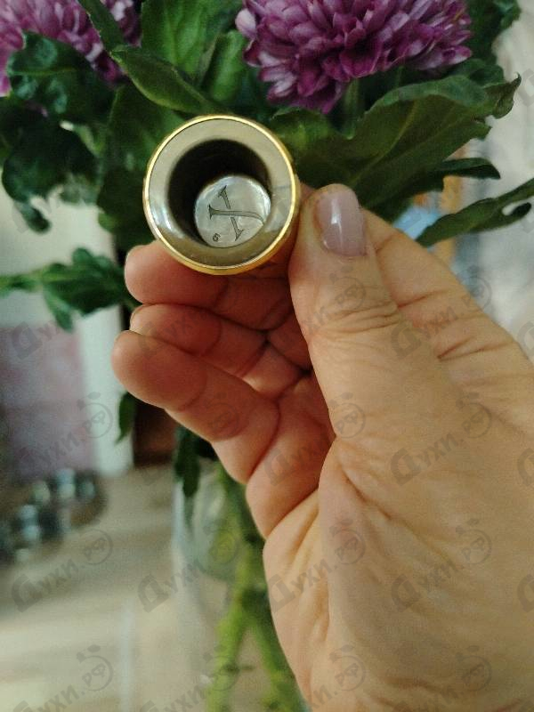 Купить Muse от Xerjoff