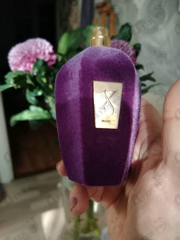 Парфюмерия Muse от Xerjoff