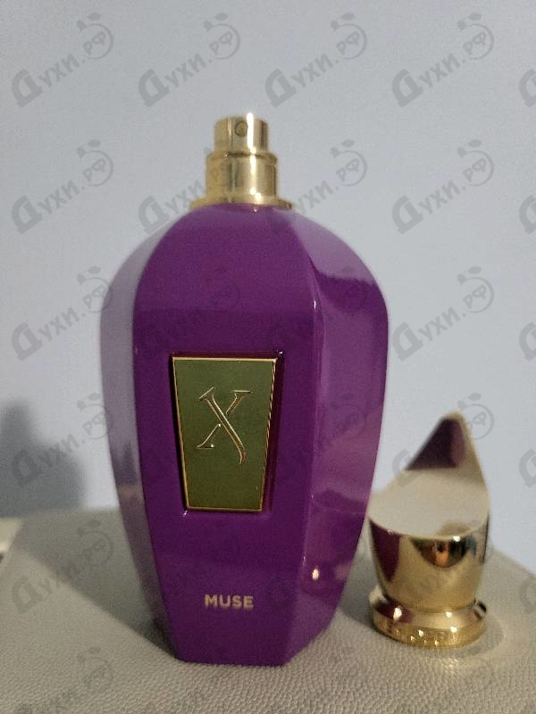 Духи Muse от Xerjoff