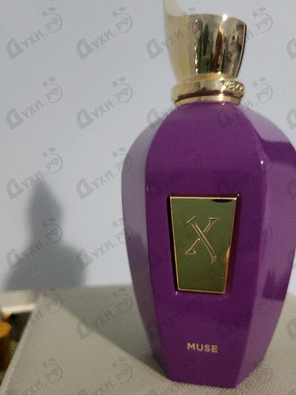 Купить Muse от Xerjoff