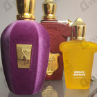 Парфюм Xerjoff Muse