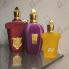 Духи Muse от Xerjoff