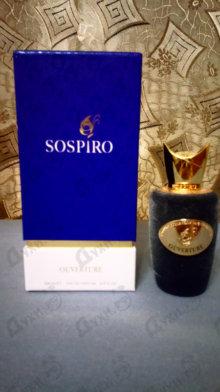 Купить Ouverture от Xerjoff Отзыв Xerjoff Ouverture