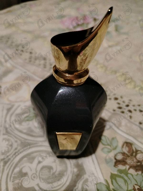 Купить Ouverture от Xerjoff