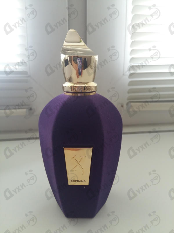 Купить Soprano от Xerjoff
