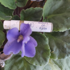 Парфюм Homo Elegans Quality Of Flesh