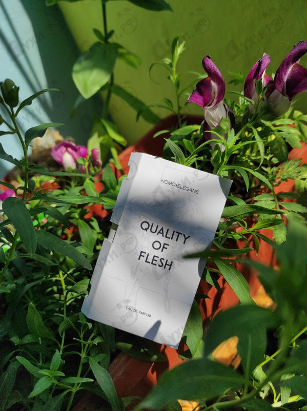 Купить Quality Of Flesh от Homo Elegans