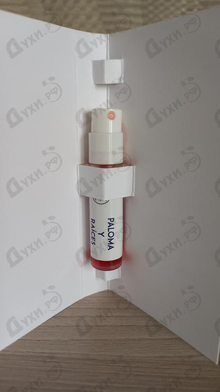 Купить Homo Elegans Paloma Y Raices