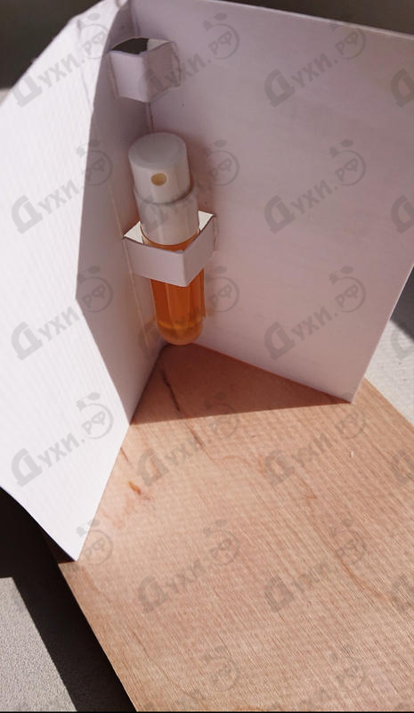 Купить Tadzio от Homo Elegans