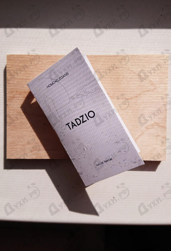 Купить Tadzio от Homo Elegans