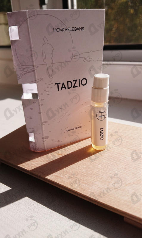 Отзыв Homo Elegans Tadzio