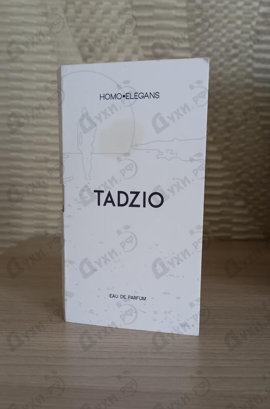 Купить Tadzio от Homo Elegans