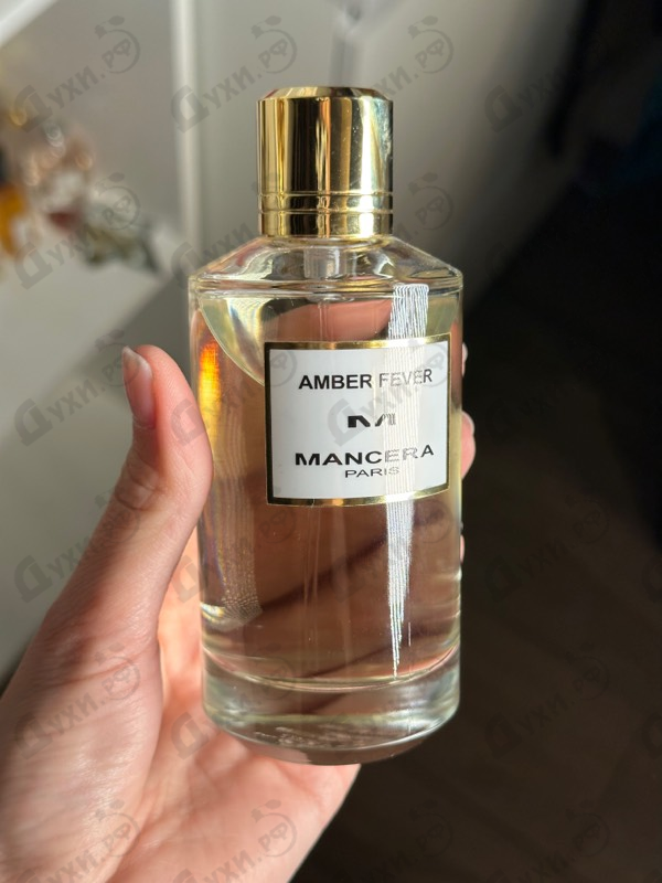 Купить Amber Fever от Mancera